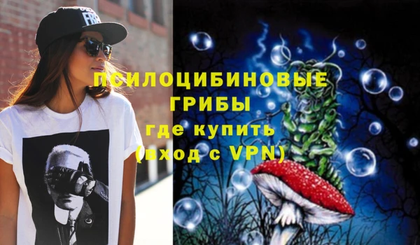 МДПВ Абинск