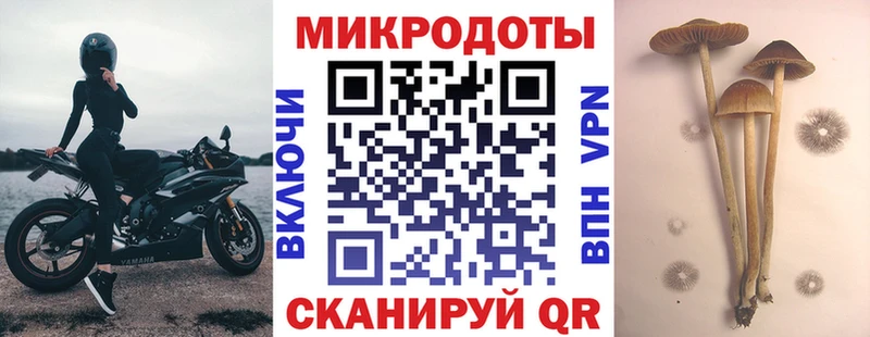 Галлюциногенные грибы Psilocybe  Пойковский 