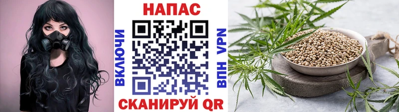Бошки Шишки сатива  Пойковский 